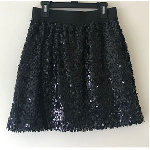 Sequin Skirt